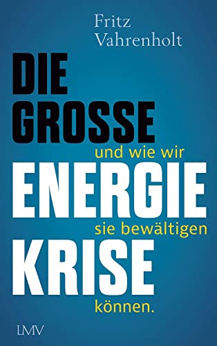 Die große Energiekrise: ... und wie wir sie bewältigen können von Langen-Müller