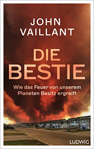 Die Bestie: Wie das Feuer von unserem Planeten Besitz ergreift – Finalist des National Book Award 2023 / Sachbuch-Bestenliste September (DLF Kultur / ZDF / DIE ZEIT)
