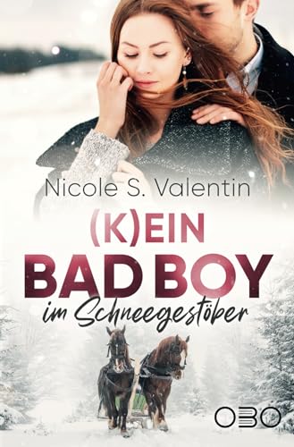 (K)ein Bad Boy im Schneegestöber (Bad Boy Stories, Band 3) von Independently published