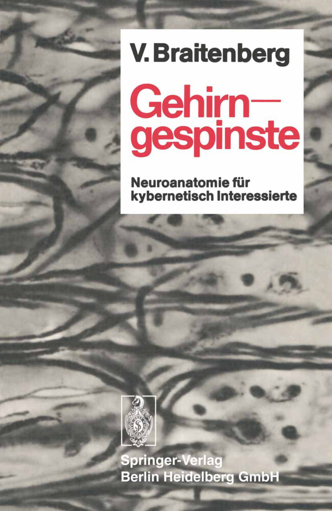Gehirngespinste von Springer Berlin Heidelberg