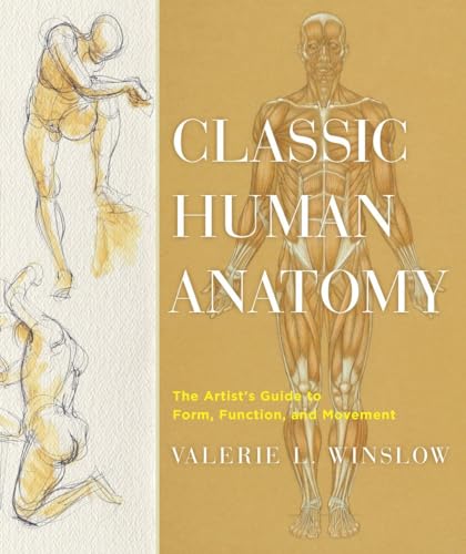 Classic Human Anatomy: The Artist's Guide to Form, Function, and Movement von Watson-Guptill