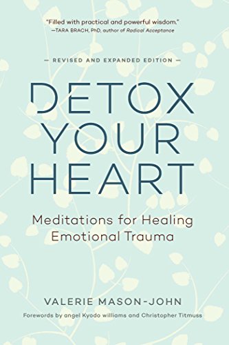 Detox Your Heart: Meditations for Healing Emotional Trauma von Wisdom Publications