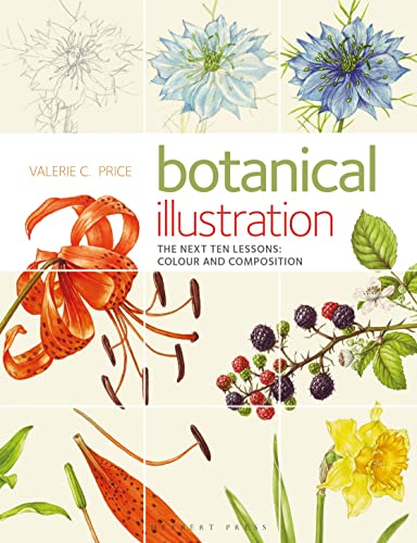 Botanical Illustration: The Next Ten Lessons: Colour and Composition von Bloomsbury