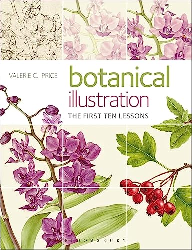Botanical Illustration: The First Ten Lessons von Herbert Press