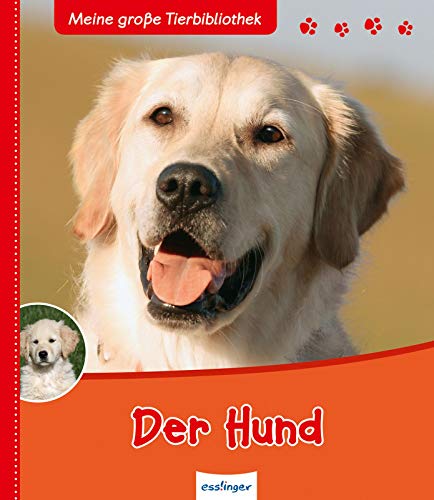 Meine große Tierbibliothek: Der Hund