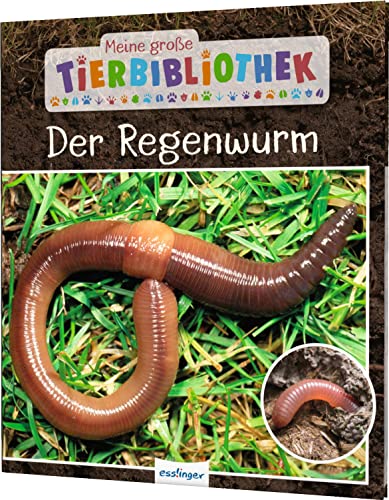 Meine große Tierbibliothek: Der Regenwurm: Sachbuch für Vorschule & Grundschule von Esslinger Verlag