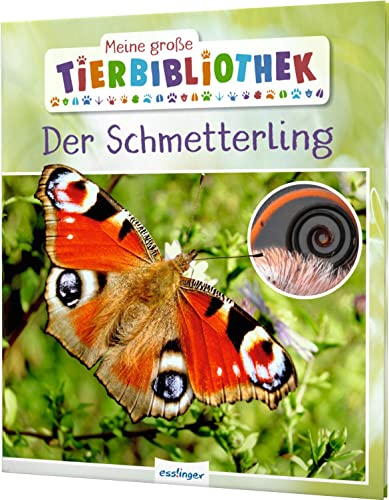 Meine große Tierbibliothek: Der Schmetterling: Sachbuch für Vorschule & Grundschule von Esslinger Verlag