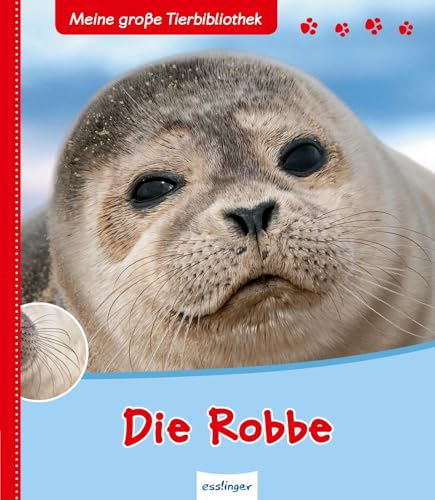Meine große Tierbibliothek: Die Robbe: Sachbuch für Vorschule & Grundschule
