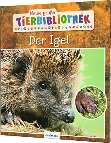Meine große Tierbibliothek: Der Igel: Sachbuch für Vorschule & Grundschule von Esslinger Verlag