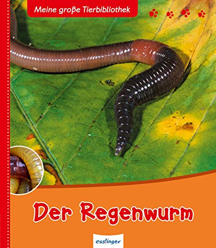 Meine große Tierbibliothek: Der Regenwurm