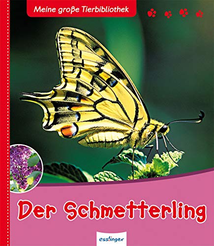 Meine große Tierbibliothek: Der Schmetterling