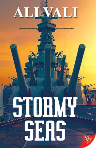 Stormy Seas von Bold Strokes Books