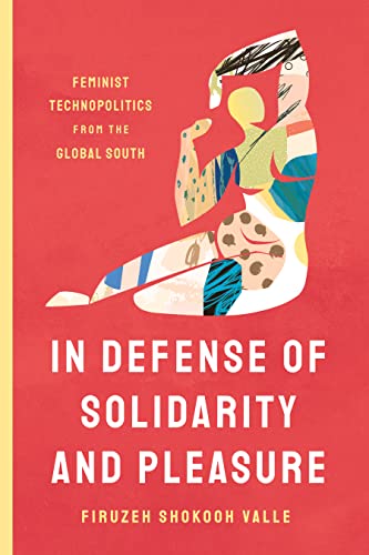 In Defense of Solidarity and Pleasure: Feminist Technopolitics from the Global South von Stanford University Press