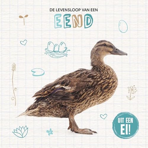 De levensloop van een eend (Uit een ei!) von Lumina