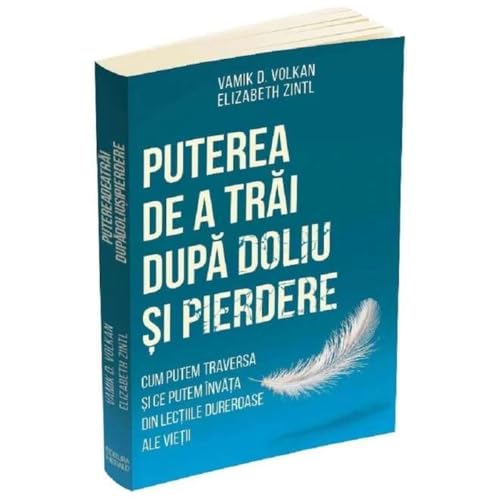 Puterea De A Trai Dupa Doliu Si Pierdere von Herald