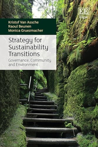 Strategy for Sustainability Transitions: Governance, Community and Environment von Edward Elgar Publishing Ltd