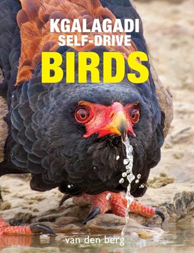 Kgalagadi Self-Drive Birds von HPH Publishing