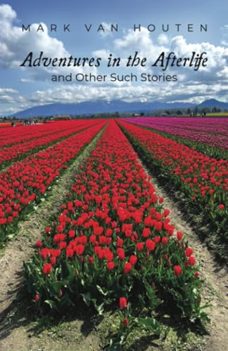 Adventures in the Afterlife and Other Such Stories von Dorrance Publishing Company