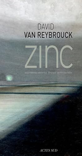 Zinc von Actes Sud