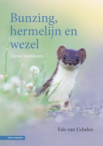Bunzing, hermelijn en wezel: kleine roofdieren Bunzing, hermelijn en wezel: kleine roofdieren von KNNV Uitgeverij