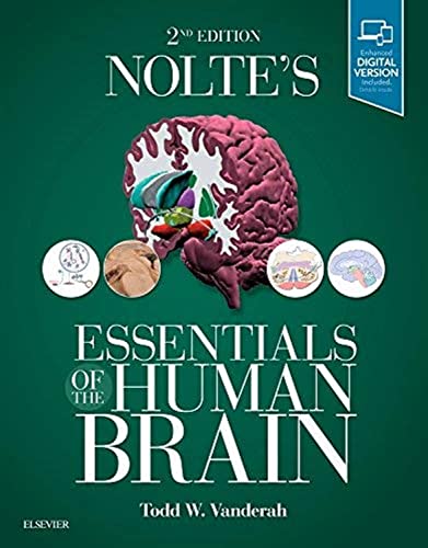 Nolte's Essentials of the Human Brain: With STUDENT CONSULT Online Access von Elsevier