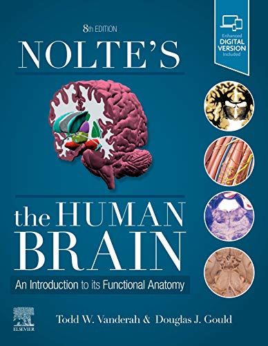 Nolte's The Human Brain: An Introduction to its Functional Anatomy von Elsevier