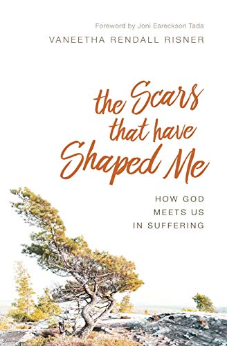 The Scars That Have Shaped Me: How God Meets Us in Suffering von CREATESPACE