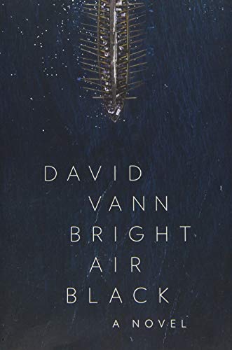Bright Air Black: A Novel