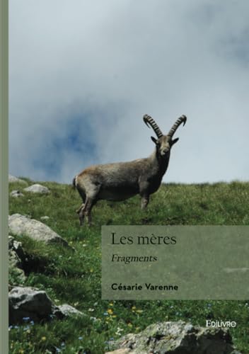 Les mères: Fragments Les mères: Fragments von Edilivre