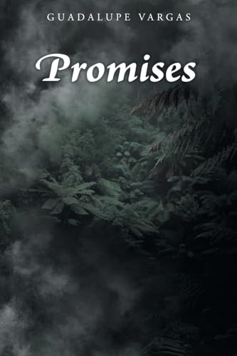 Promises von Fulton Books