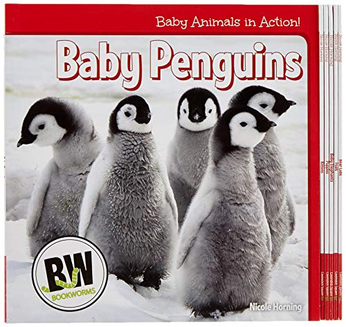 Baby Animals in Action! Set von Cavendish Square Publishing