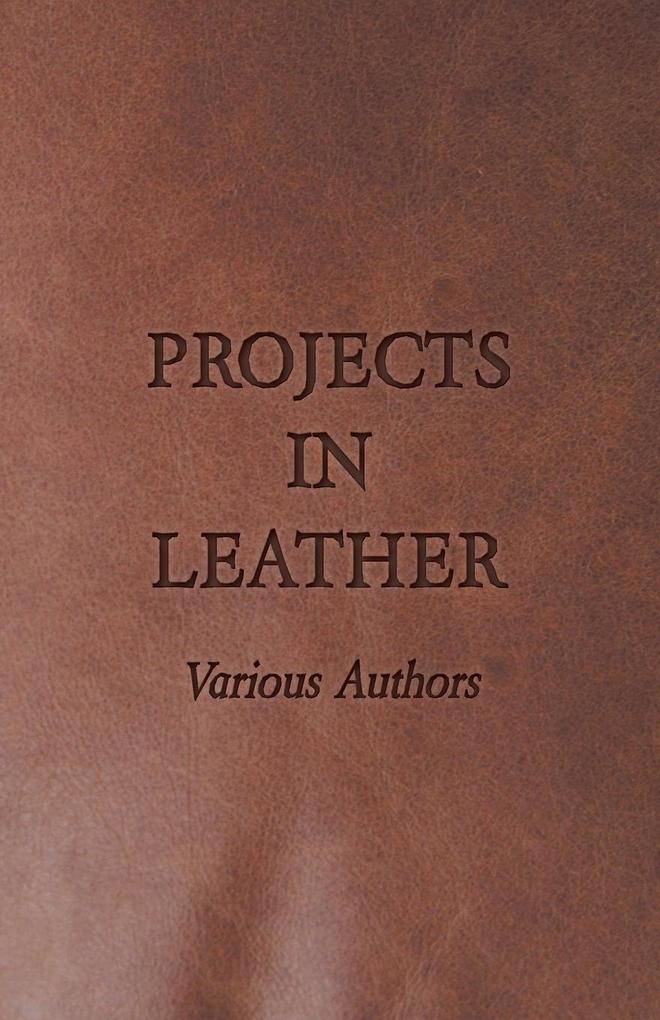 Projects in Leather von Fournier Press