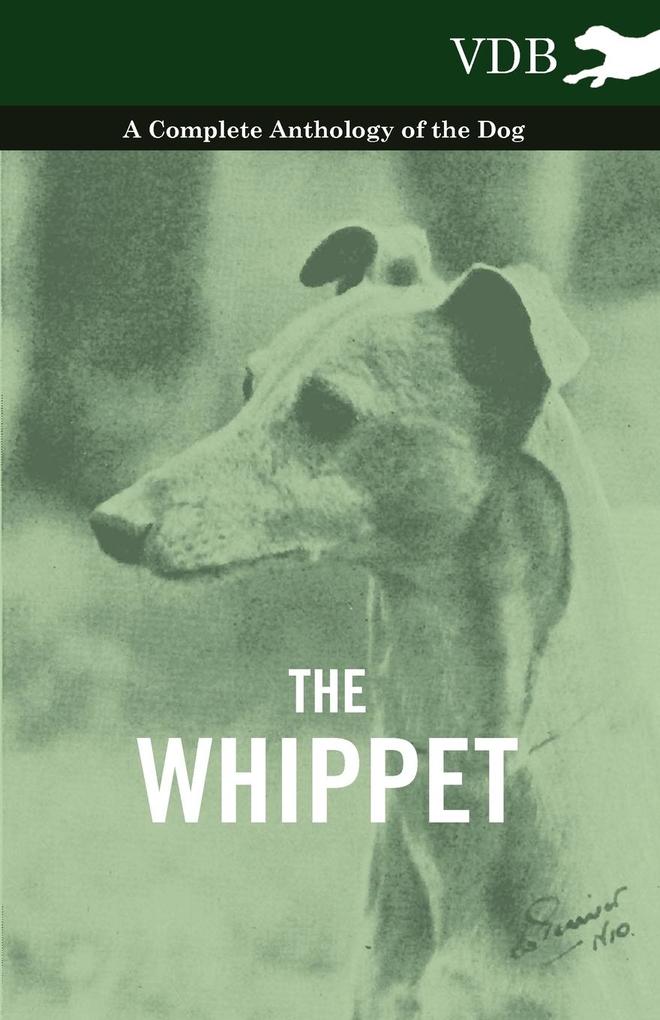 The Whippet - A Complete Anthology of the Dog von Vintage Dog Books