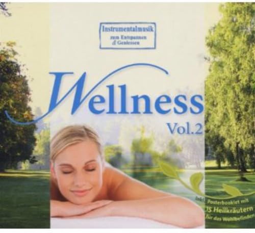 Wellness, 1 Audio-CD.Vol.2 Wellness, 1 Audio-CD.Vol.2 von Carlton Musikvertrieb