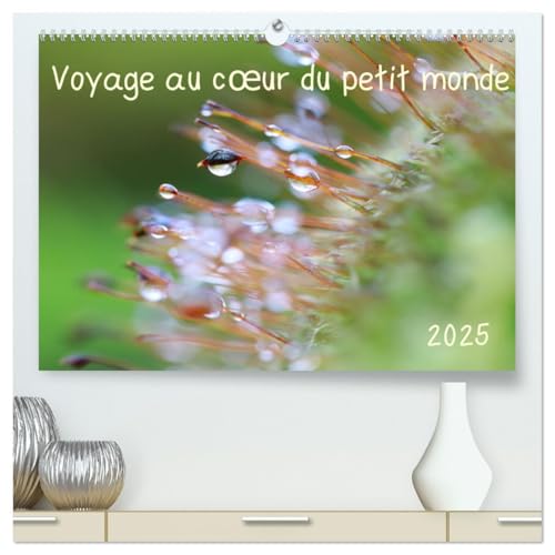 Voyage au c¿ur du petit monde (Calendrier mural 2025 DIN A2 vertical) calendrier de bureau: Découvrez chaque mois un univers miniature fascinant, ... l'invisible beauté du monde qui nous entoure. von CALVENDO