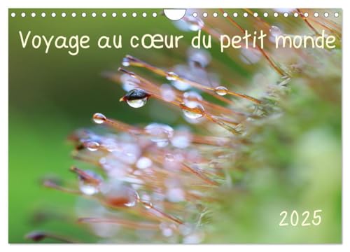Voyage au c¿ur du petit monde (Calendrier mural 2025 DIN A4 vertical), CALVENDO calendrier mensuel: Découvrez chaque mois un univers miniature ... l'invisible beauté du monde qui nous entoure. von CALVENDO