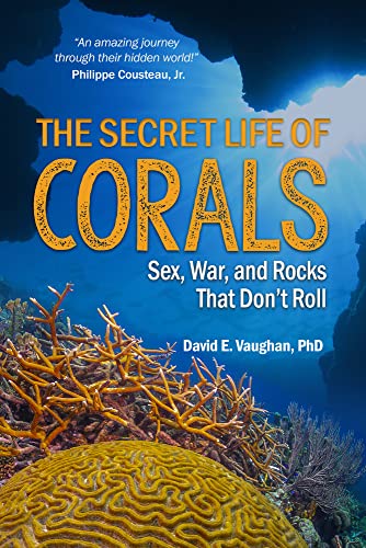 The Secret Life of Corals: Sex, War, and Rocks That Don’t Roll