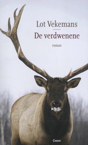 De verdwenene: roman