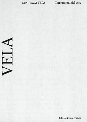 Vincenzo Vela - Impressioni dal vero (Arte e fotografia) von Edizioni Casagrande SA