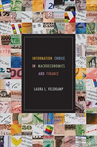 Information Choice in Macroeconomics and Finance von Princeton University Press