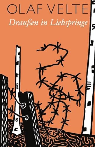 Draußen in Liebspringe: Gedichte von Stadtlichter Presse
