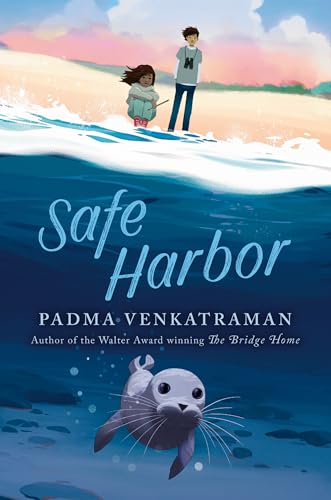 Safe Harbor von Unknown
