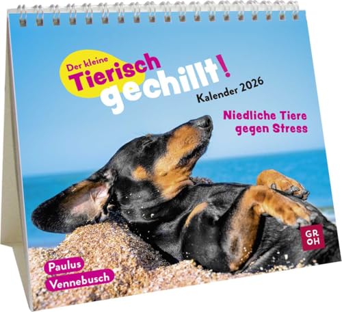 Mini-Kalender 2026: Der kleine Tierisch gechillt! Kalender: Mini-Monatskalender. Kleiner Tischkalender zum Aufstellen mit Monatskalendarium und lustigen Sprüchen & Illustrationen Mini-Kalender 2026: Der kleine Tierisch gechillt! Kalender: Mini-Monatskalender. Kleiner Tischkalender zum Aufstellen mit Monatskalendarium und lustigen Sprüchen & Illustrationen von Groh