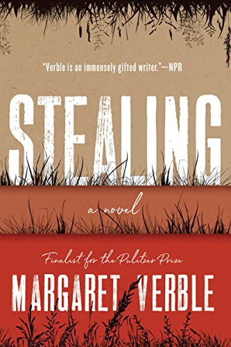 Stealing: A Novel von Mariner Books