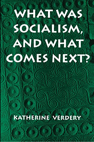 What Was Socialism, and What Comes Next? (Princeton Studies in Culture/Power/History) von Princeton University Press