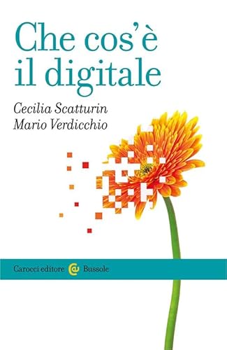 Che cos'è il digitale (Le bussole) von Carocci