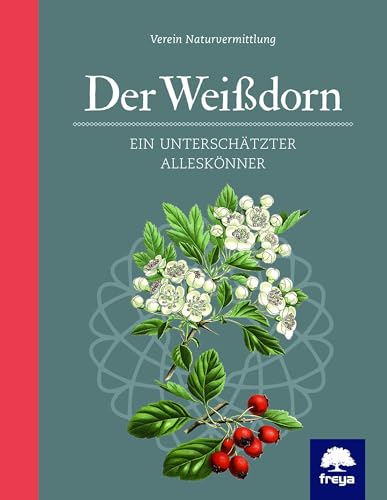 Der Weißdorn: Ein unterschätzter Alleskönner