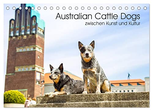 Australian Cattle Dogs zwischen Kunst und Kultur (Tischkalender 2023 DIN A5 quer): Eine außergewöhnliche Hunderasse und Architektur treffen aufeinander (Monatskalender, 14 Seiten ) (CALVENDO Tiere)