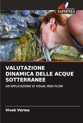 VALUTAZIONE DINAMICA DELLE ACQUE SOTTERRANEE: UN'APPLICAZIONE DI VISUAL MOD-FLOW von VDM Verlag