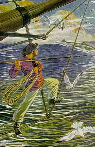 The Voyages and Adventures of Captain Hatteras: The Classic Arctic Adventure Novel (Annotated) von Independently published